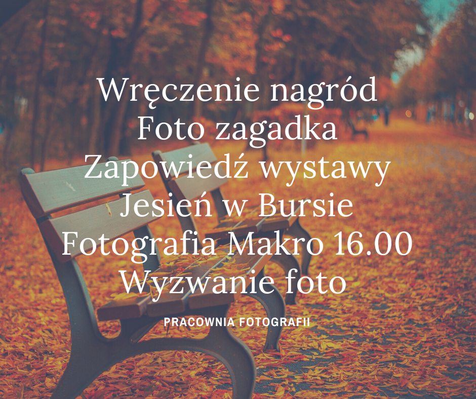 FOTO czwartek START